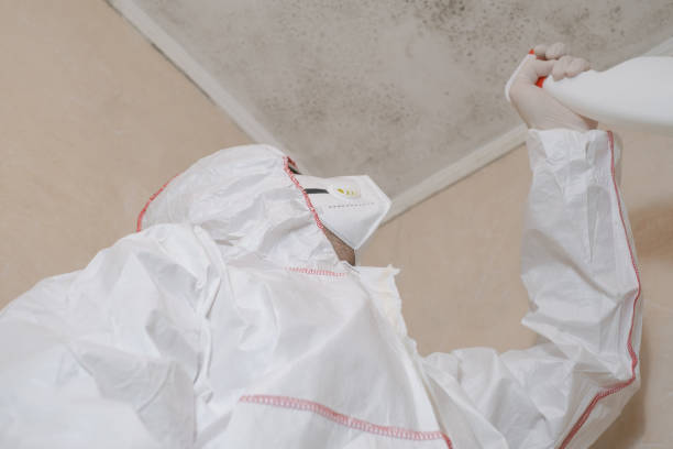 Best Professional Mold Removal  in Wisr, NE